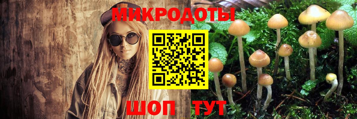 Норильск  Псилоцибиновые грибы Psilocybe  Псилоцибиновые грибы GOLDEN TEACHER  Вход с VPN 